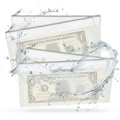 8.5×4 Inch Money Bags with Zipper, 8Pcs Clear Cash Pouch, White