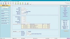Regular Billing Ledger Software – Care Pet Account Pos NXAB