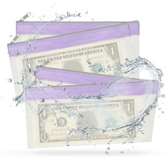 4Pack 8.5×4 Inch Money Bags with Zipper Clear Cash Pouch, Purple