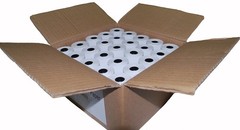 100 Roll 2 1/4″ x 85′ Thermal Cash Register POS Receipt Paper Tape FD100ti FD130