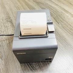 EPSON TM-T20 (M249A) Thermal Receipt Printer w/ Power Cord Tested Works