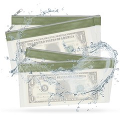 4PCS 8.5×4 Inch Money Bags with Zipper Clear Cash Pouch, Green