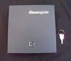 SentrySafe DS-1