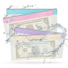 8PCS 8.5×4 Inch Money Bags with Zipper Clear Cash Pouch, Blue/Pink/Purple/Beige