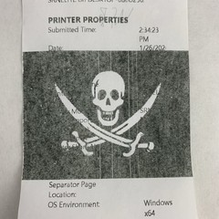 Digital Check SRNELITE-USB ReceiptNOW Thermal Printer Dead Pixels No Adapter