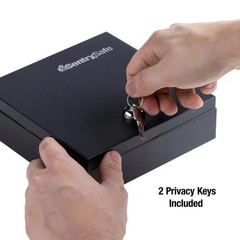 SentrySafe DS-1 0.04 cu ft Money Cash Box with Lock Portable Safe