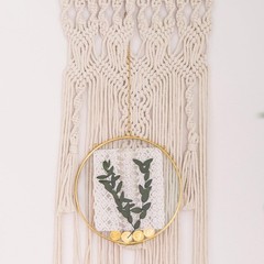 Deep Floating 8 Inch Round Hanging Glass Display Frame for Pressed Flowers, T…