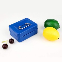 Mini Cash Box with Lock and Slot Small Cash Box with Money Tray Metal Piggy B…