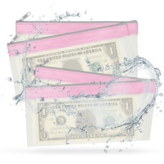 8.5×4 Inch Money Bags with Zipper, 4Pcs Clear Cash Pouch, Pink