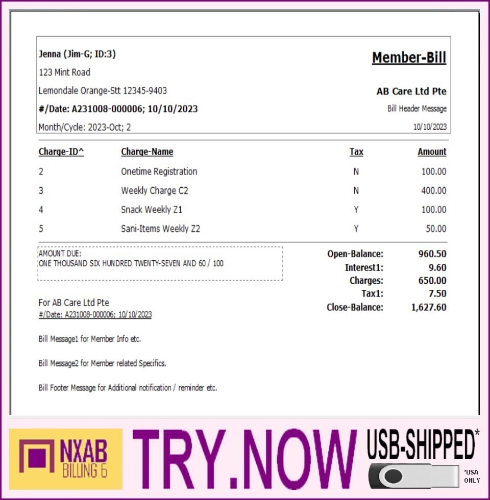 Regular Billing Ledger Software – Care Pet Account Pos NXAB