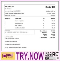 Regular Billing Ledger Software – Care Pet Account Pos NXAB