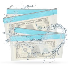 8.5×4 Inch Money Bags with Zipper, 4Pcs Clear Cash Pouch, Blue
