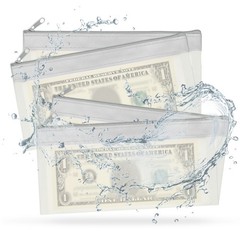 8.5×4 Inch Money Bags with Zipper, 4Pcs Clear Cash Pouch, Gray