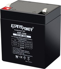 ExpertPower EXP1250-12V 5Ah Rechargeable SLA Battery for Security System, UPS, G