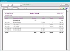 Regular Billing Ledger Software – Care Pet Account Pos NXAB