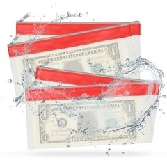 8.5×4 Inch Money Bags with Zipper, 8Pcs Clear Cash Pouch, Red