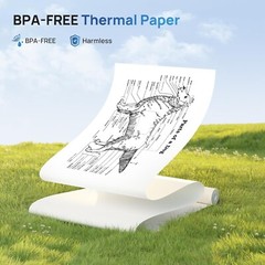 Thermal Printer Paper 8.5 x 11 Inch, Continuous Thermal Paper Roll, 2 Rolls