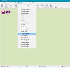 Regular Billing Ledger Software – Care Pet Account Pos NXAB