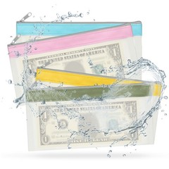8.5×4 Inch Money Bags with Zipper, 4Pcs Clear Cash Pouch, Blue/Pink/Yellow/Green