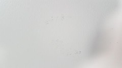 Zebra 105SL Thermal Label Printer