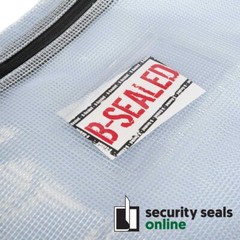 Large 340 x 395mm Clear Envelope-type Bag
