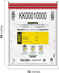 Cash Transmittal Bags | 12W X 16H | Pack of 100 | Unique Alphanumeric Numbering