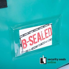 Small 350 x 250 x 75mm Carry ZipLock bag for securing cash & documents