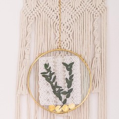 Deep Floating 8 Inch Round Hanging Glass Display Frame for Pressed Flowers, T…