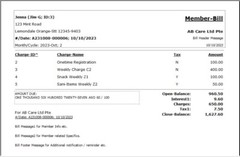 Regular Billing Ledger Software – Care Pet Account Pos NXAB