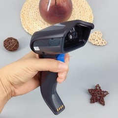 Datalogic GM4132-BK-433K1 1D 433Mhz Handheld Barcode Scanner for POS Solutions