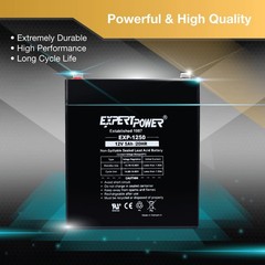 ExpertPower EXP1250-12V 5Ah Rechargeable SLA Battery for Security System, UPS, G