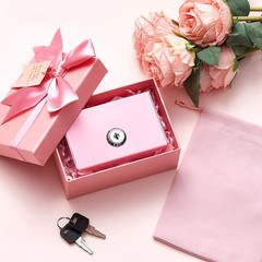 3 PCS Metal Cash Box Pocket Size Winners Bank Small Portable Money Slot Keys