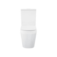 Lamarck Two-Piece Elongated Toilet Dual-Flush 1.1/1.6 gpf
