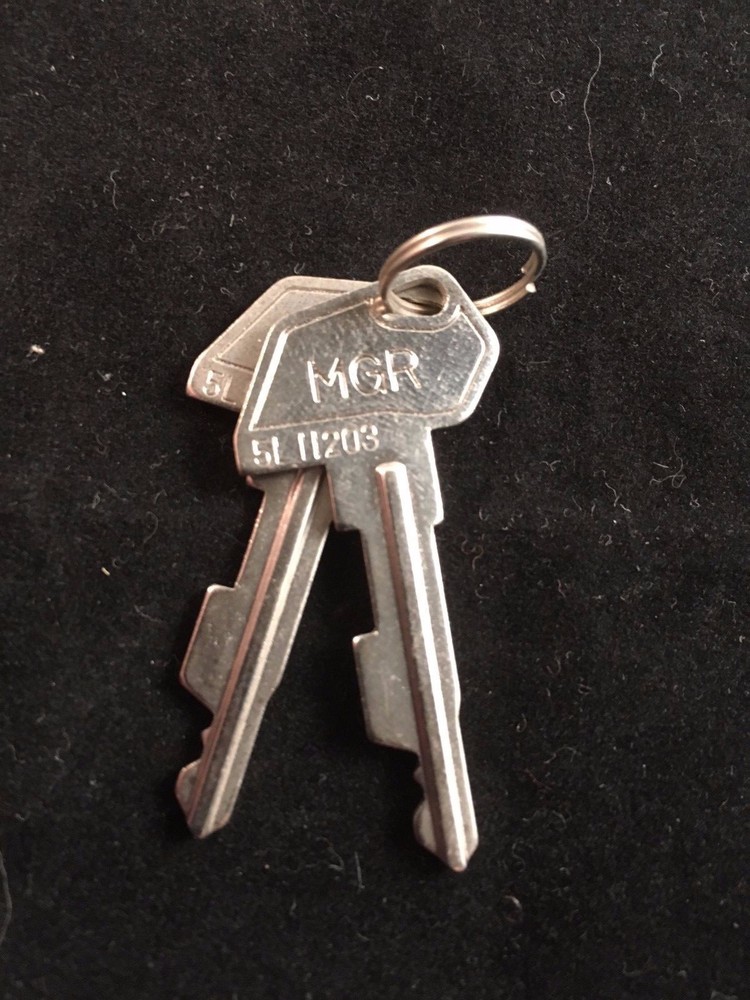 TEC CASH REGISTER, MGR KEY, #5L11203, SET OF 2