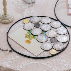 Deep Floating Glass 8 Inch Round Hanging Display Frame for Pressed Flowers, T…