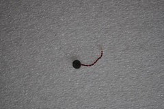Motorola Symbol MC3090R Microphone MC3090R-MIC