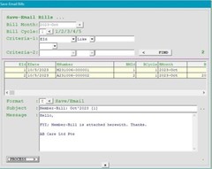 Regular Billing Ledger Software – Care Pet Account Pos NXAB