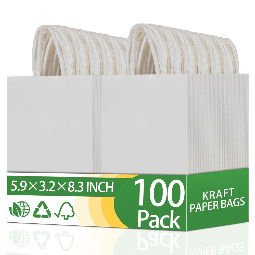 OEMVALATY 100Pcs 5.9×3.2×8.3 Inch Small White Paper Bags with Handles Bulk Gi…