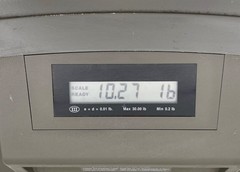 NCR Realscan POS 7875 Scanner Scale LCD Display Screen Tested Read