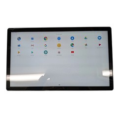 MicroTouch IC-215P-AA2 All-in-One Computer – NO STAND – No power adapter
