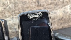 Zebra MC330K, Point Mobile PM550, Symbol MC92N0, As-Is 🔥Lot of 4🔥