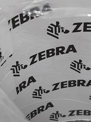 Zebra White Continuous Thermal Transfer Label Roll – 4in x 500ft